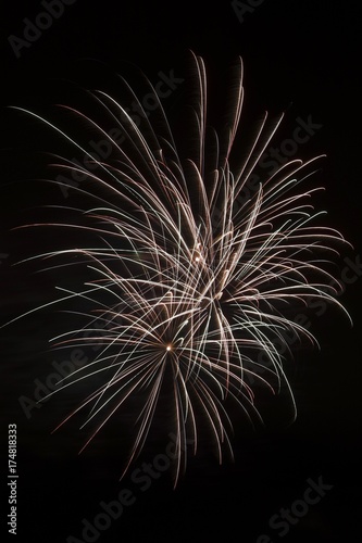 Fireworks in the night sky  Quebec  Canada  North America