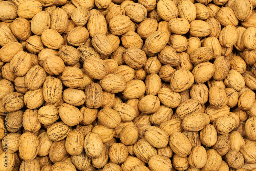 Background of many nuts Background of many nuts