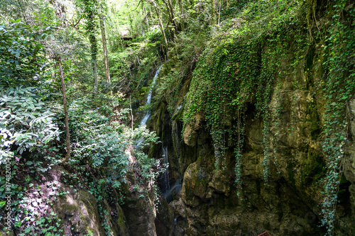 Samandere Waterfall in Duzce