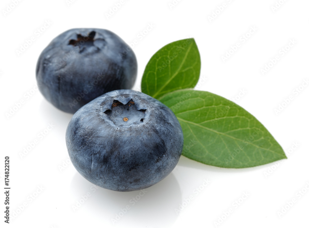 Obraz premium Blueberry