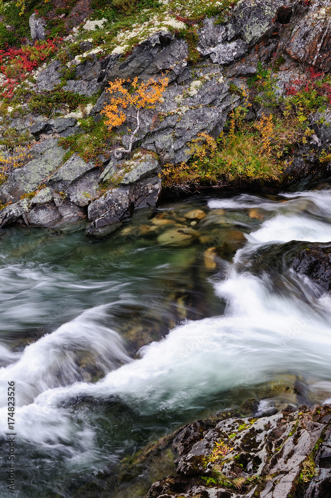 Schlucht der Driva im Herbst, Dovrefjell, Norwegen