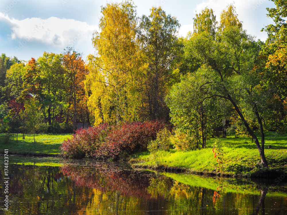 Fototapeta premium Autumn landscape. Autumn in the Park. Autumn lake in the Park. 