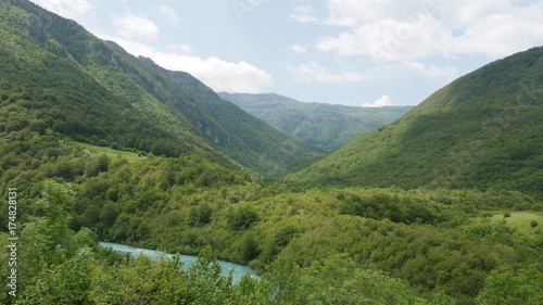 Foresta in Bosnia Herzegovina