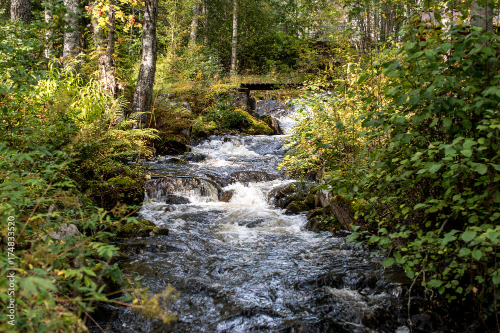 little river in the forest little river in the forest