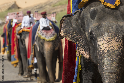 Decorated elephants in Jaleb Chowk in Amber Fort in Jaipur, India.