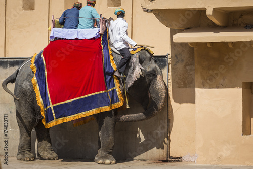 Decorated elephants in Jaleb Chowk in Amber Fort in Jaipur, India.