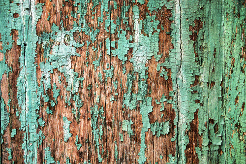 Texture of old wood with cracked paint of green color