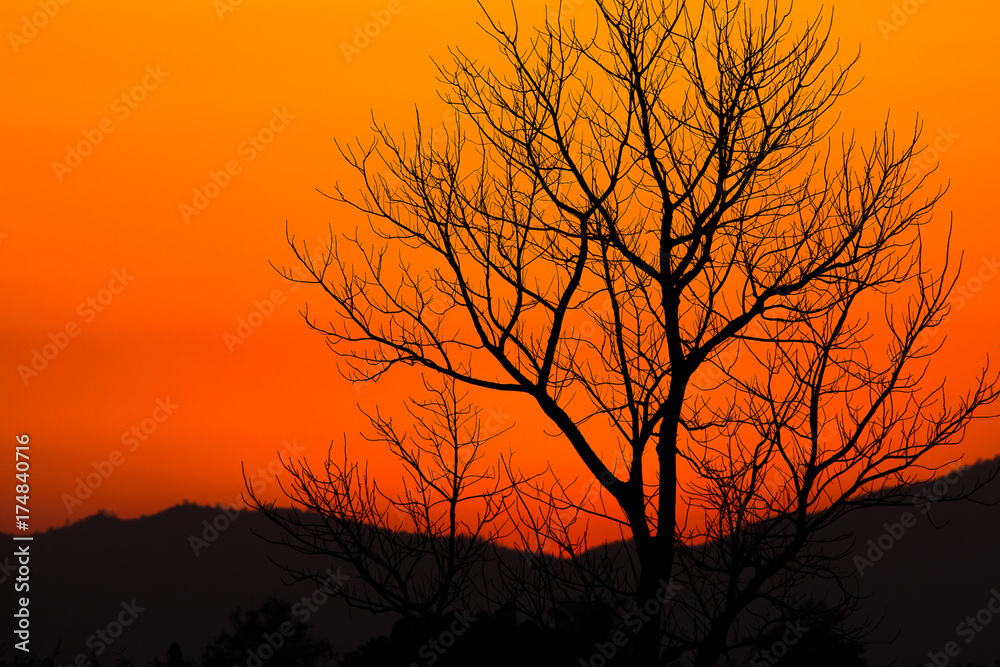 colorful dramatic sky with cloud at sunset colorful dramatic sky with cloud at sunset
