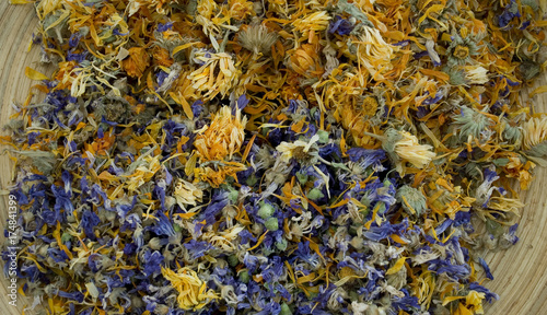 detail of spontaneous flowers (mallow, helicris, marigold, lavender), whose flowers are hand-picked and then dried to maintain the healing properties used in the fall like herbal teas, italy