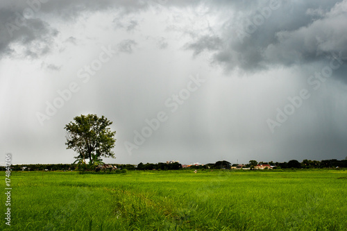 Rain clouds and gloomy sky