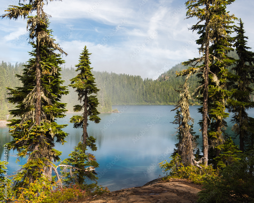 An inviting lake and mountains framed by pine trees