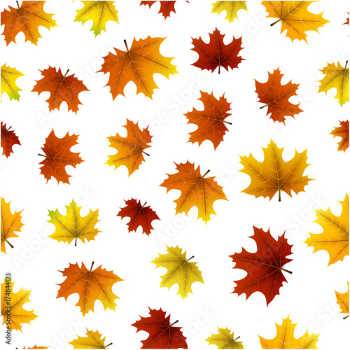 Autumn pattern with maple leaves.