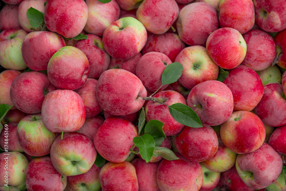Ripe organic apples. Texture and background. Ripe organic apples. Texture and background.