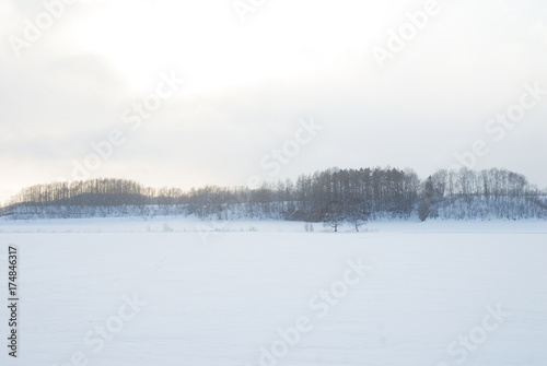 冬の道東の雪原（北海道） © tatsuo115