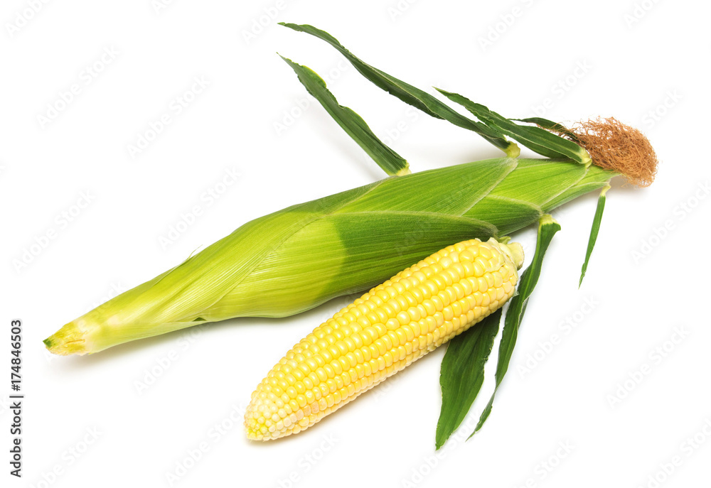 Corn with skin or without skin isolated on white background. A collection of corn. Flat lay, top view Corn with skin or without skin isolated on white background. A collection of corn. Flat lay, top view