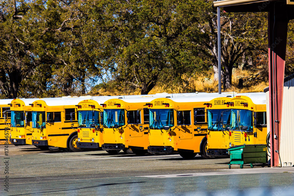 Row Of Yellow School Buses