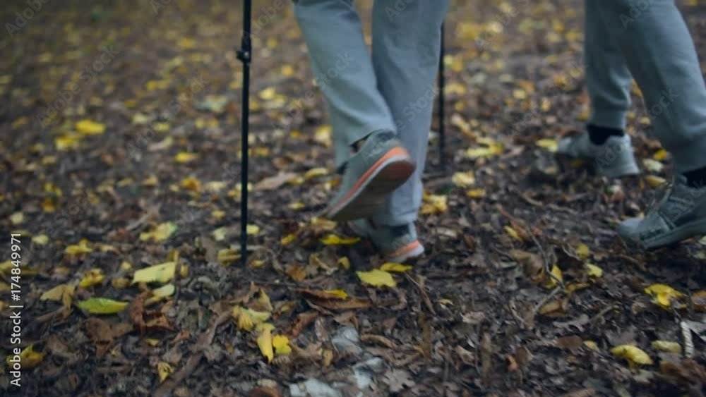 Low angle view of tourists trying Nordic walking in the wood Low angle view of tourists trying Nordic walking in the wood