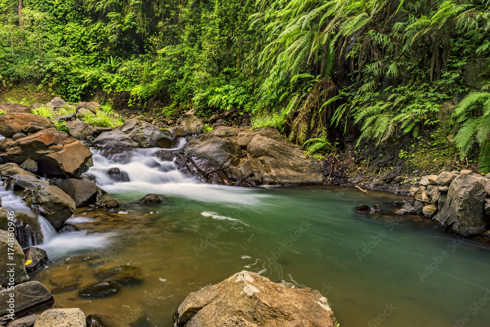 View of the flowing river in Bali View of the flowing river in Bali