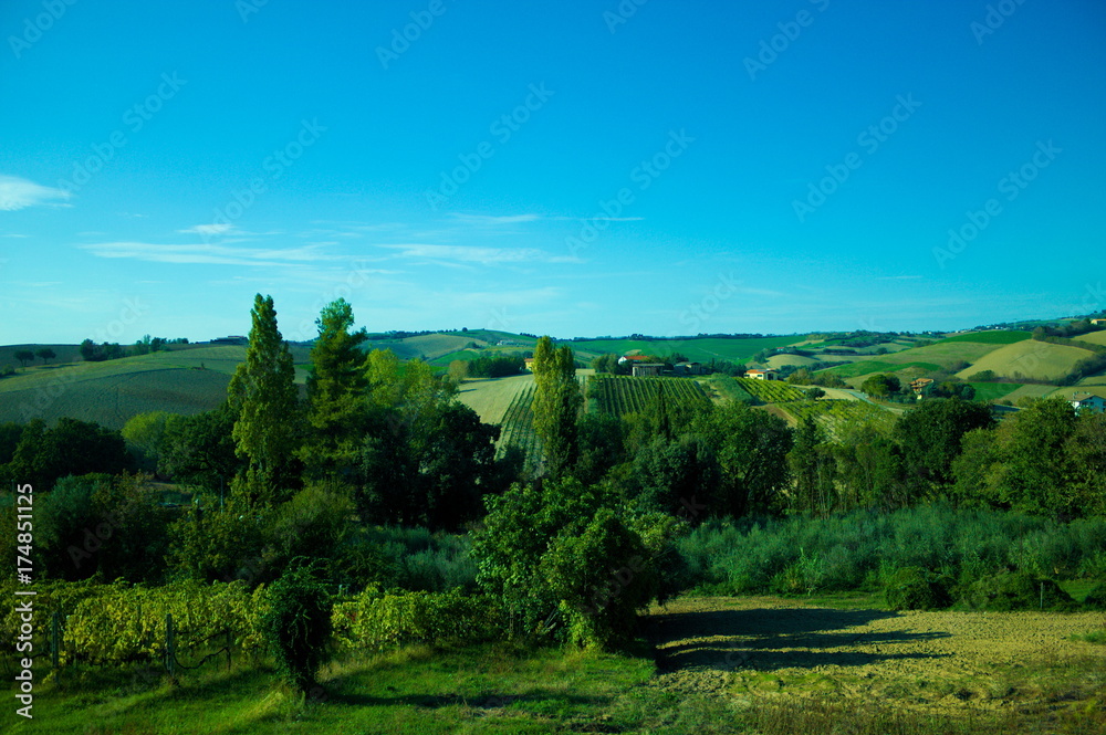 Hills and fields in Montecchio (Marche, Italy)