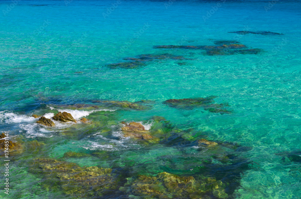 Sea shore under clear sky