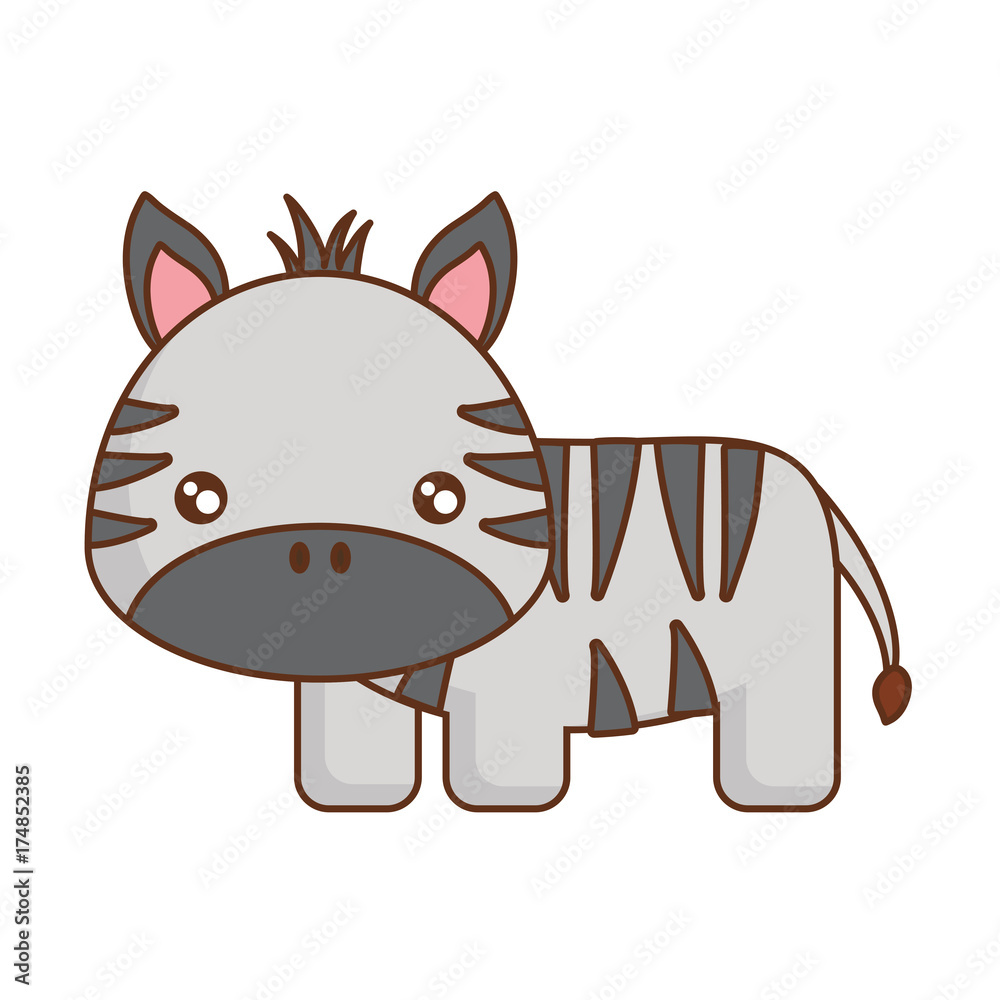 cute animals design cute animals design