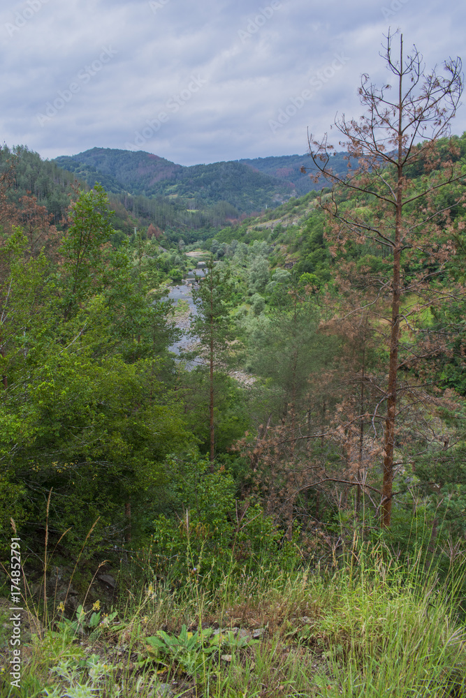 Obraz premium Near the road