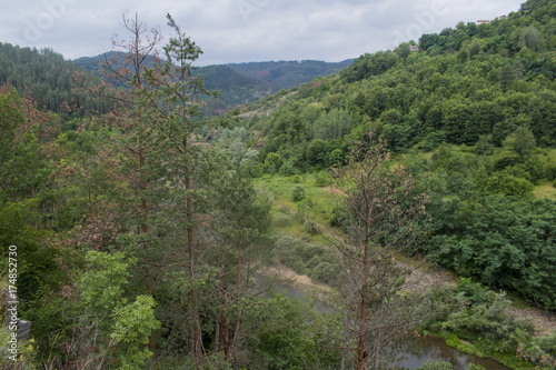 Near the road photo