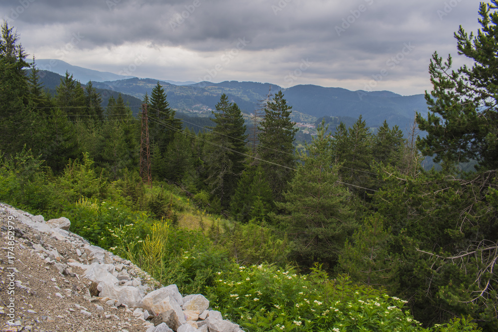 Obraz premium Near the road