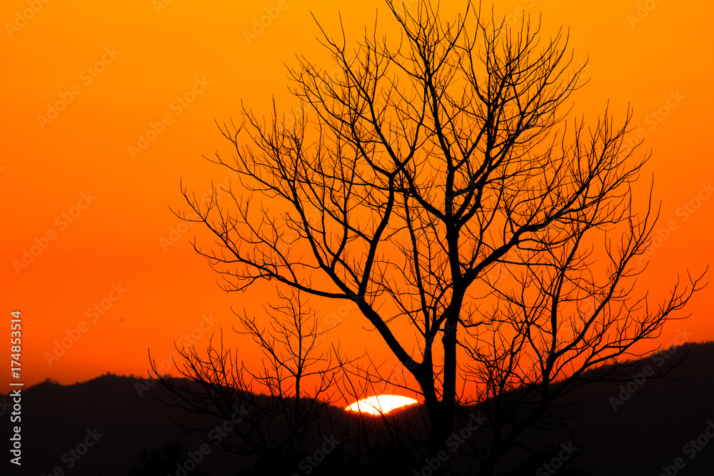 colorful dramatic sky with cloud at sunset. colorful dramatic sky with cloud at sunset.
