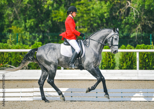 Young elegant rider woman and gray horse, dressage test on equestrian competition. Advanced Dressage test. Horse with girl at dressage equestrian sports competitions. Details of equestrian equipment.