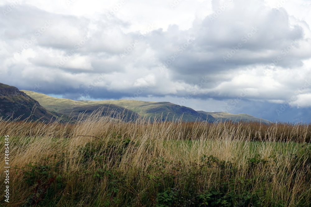 Paisaje campos Stirling, Escocia