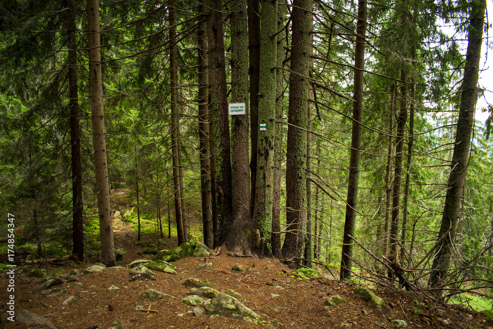 Obraz premium The throne of Eurydice