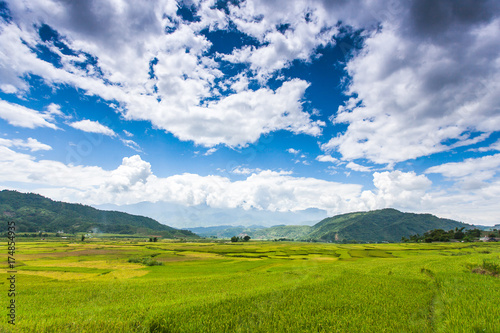 Rice fields at Northwest Vietnam