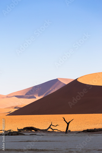 Sossusvlei  Namib desert  Namibia  Africa