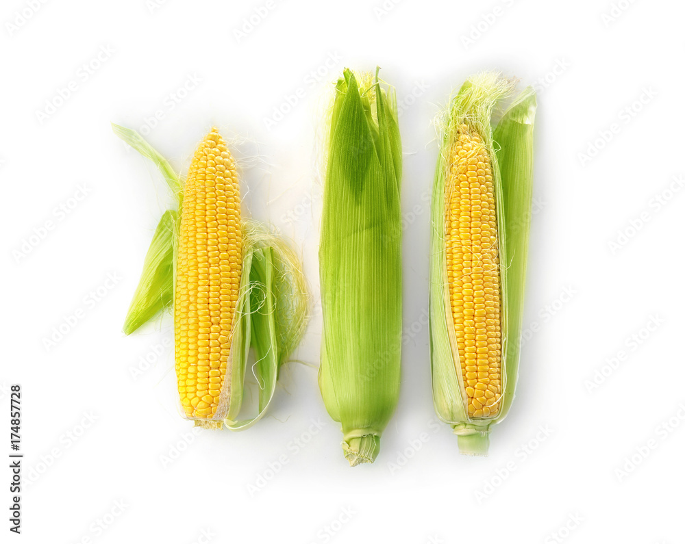 Ripe corn cobs on white background Ripe corn cobs on white background