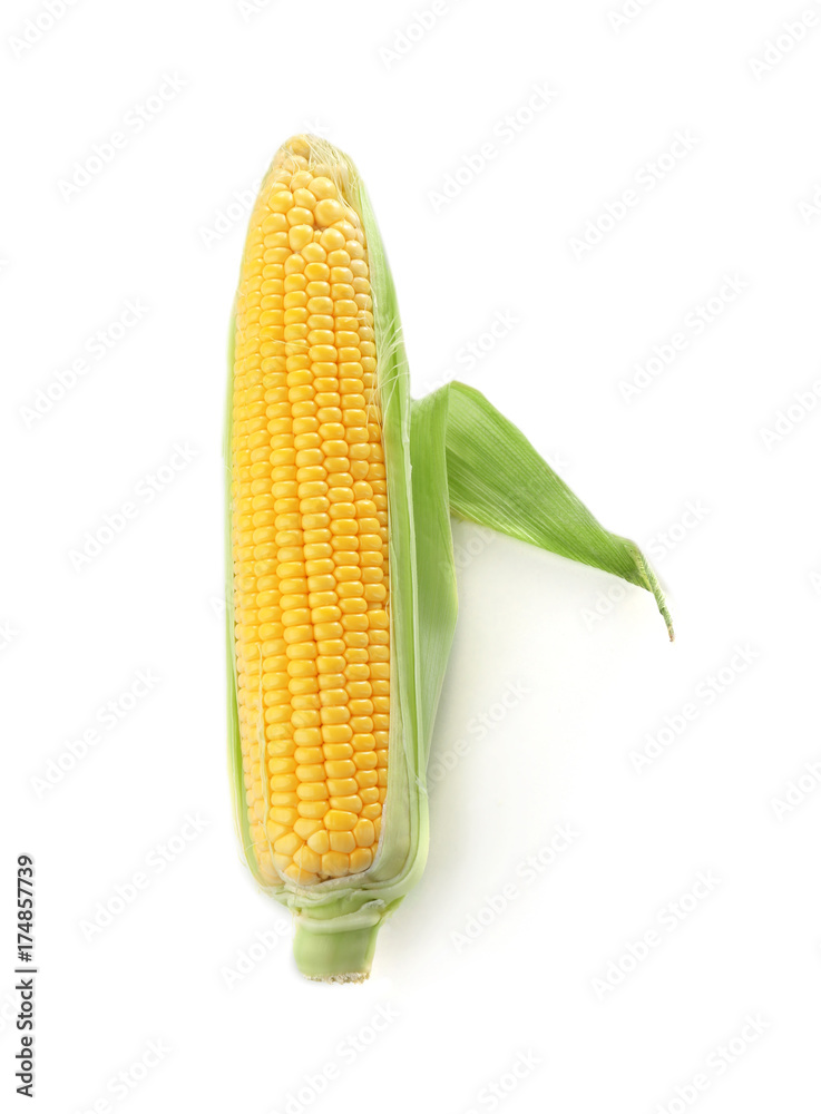 Obraz premium Ripe corn cob on white background