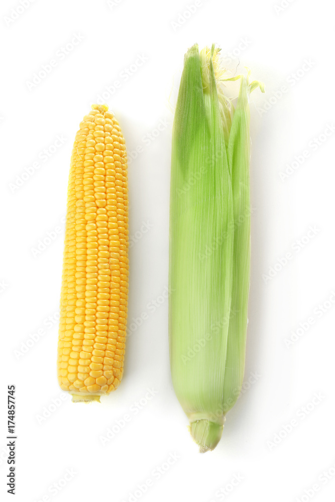 Ripe corn cobs on white background Ripe corn cobs on white background