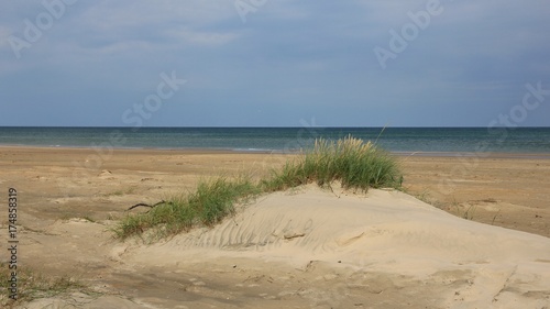 Fototapeta Naklejka Na Ścianę i Meble -  Sand dune at the west coast of Denmark. Beach north of Hirtshals.