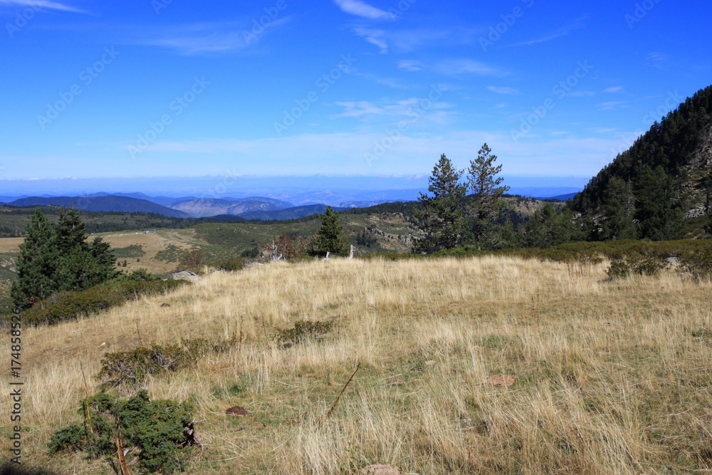 Φωτογραφία pyrenean meadow in Aude, Occitanie in South of France