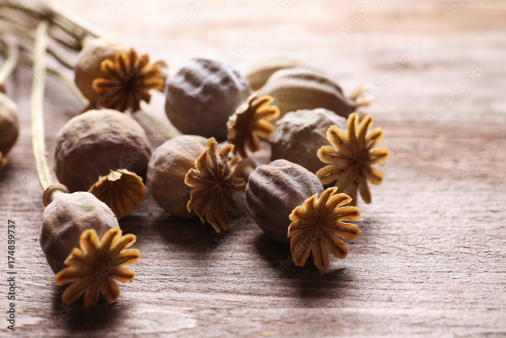 Fototapeta premium Dried poppy heads on wooden table, closeup