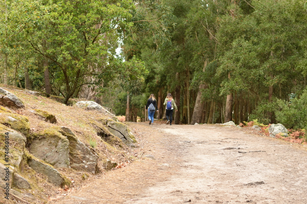 Fototapeta premium CIES