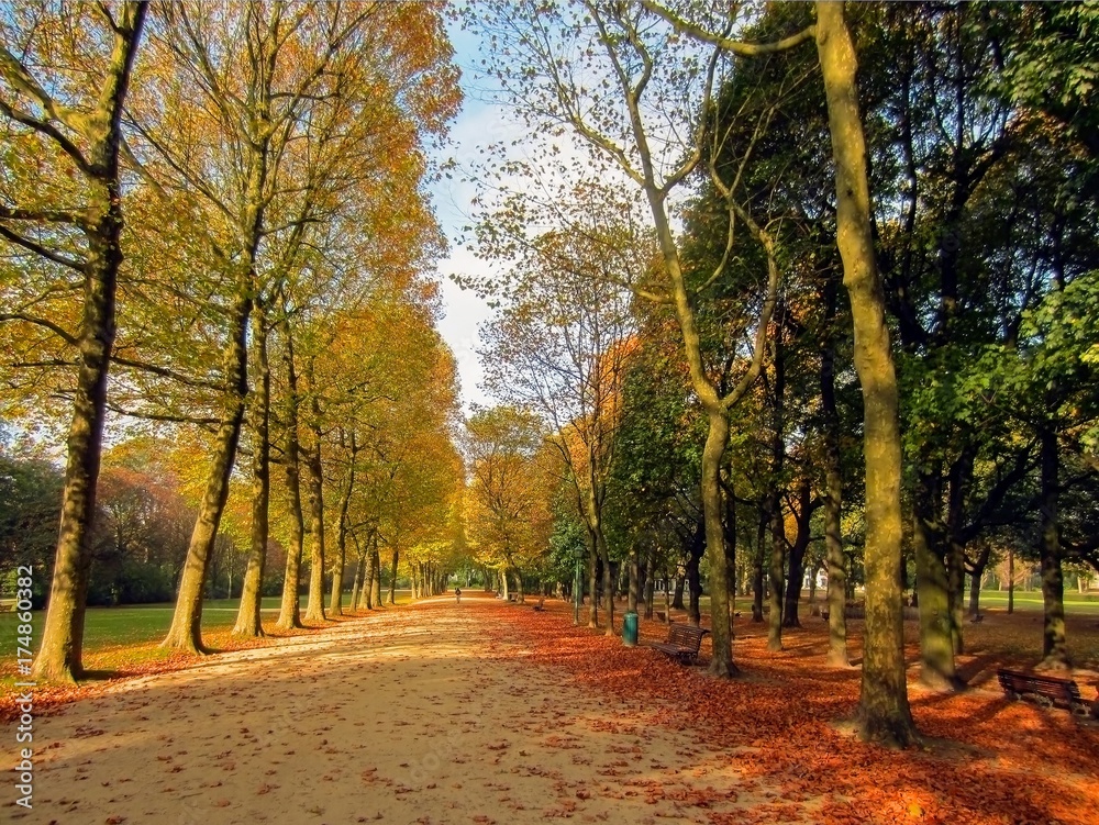 Naklejka premium Brussels, Belgium