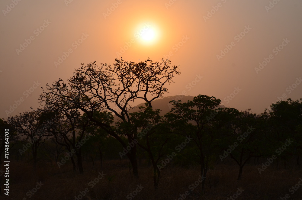 The African landscape. Cameroon