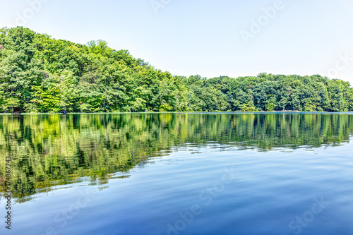 Burke lake trees forest woods reflection in summer on bright day with clear water