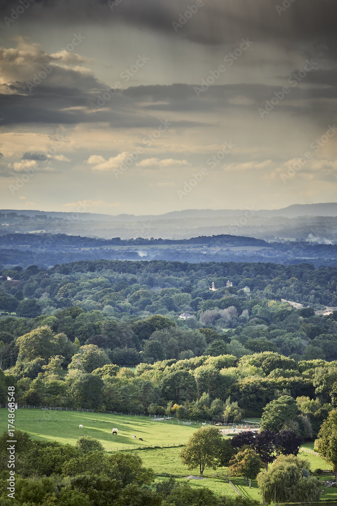 View over the South Downs National Park on a stormy summer day - portrait format