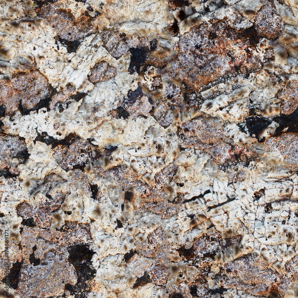 Surface rocks of Khibiny Mountains Surface rocks of Khibiny Mountains