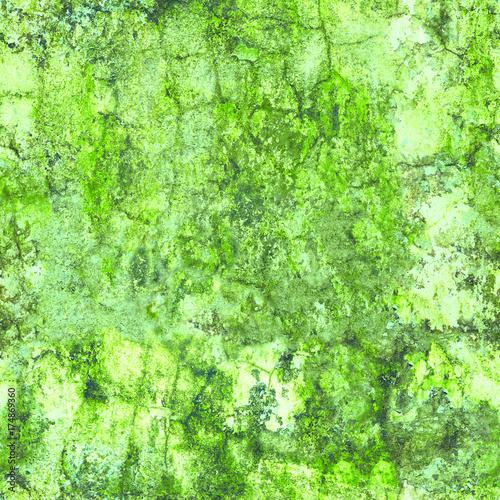 Old wall in the green mold - weathered seamless texture