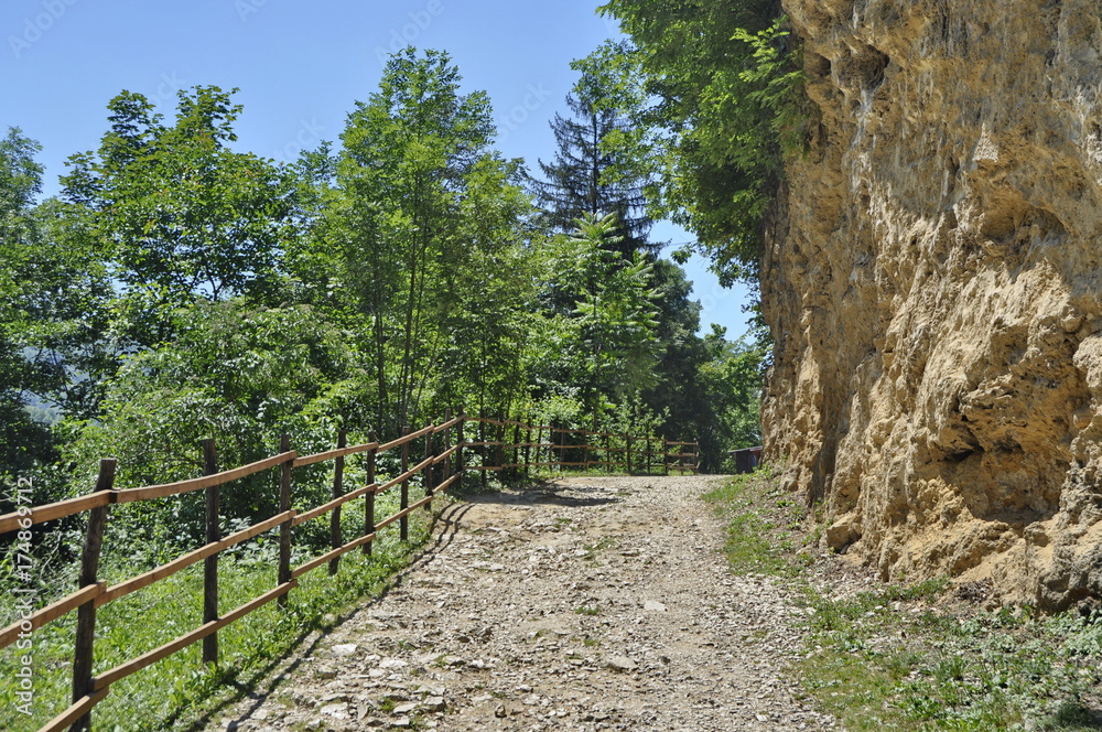Forest Path in Jajce, Bosnia and Hezegovina Forest Path in Jajce, Bosnia and Hezegovina