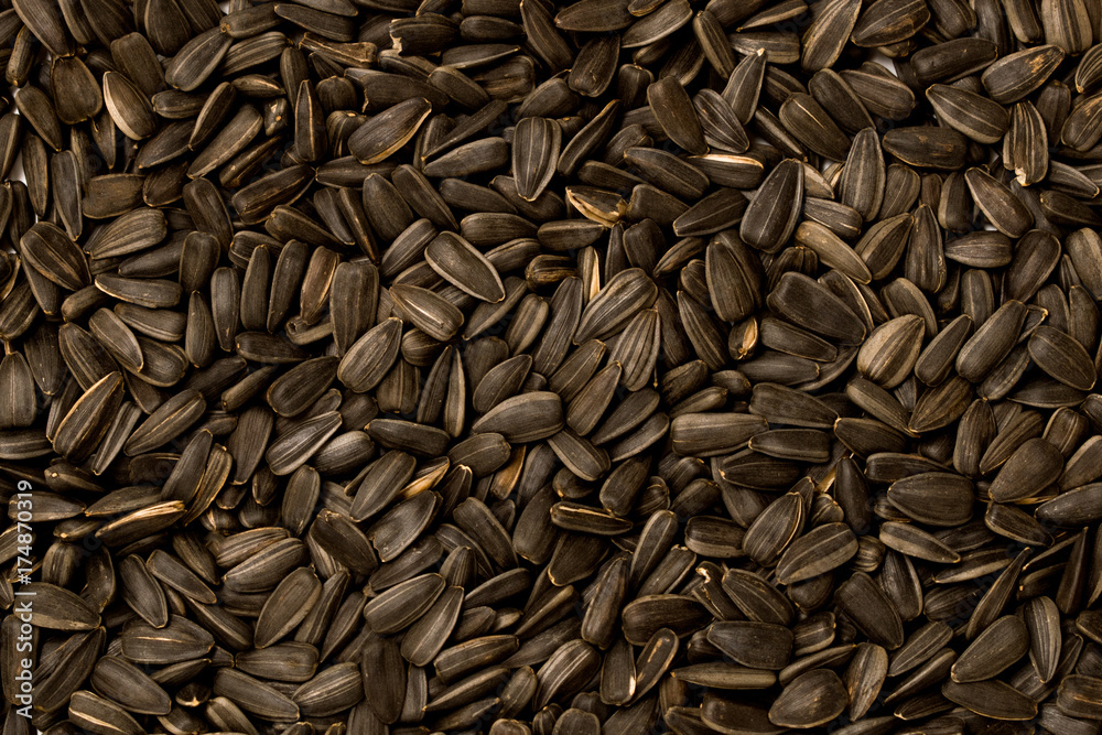 Roasted sunflower seeds, the view from the top. Roasted sunflower seeds, the view from the top.