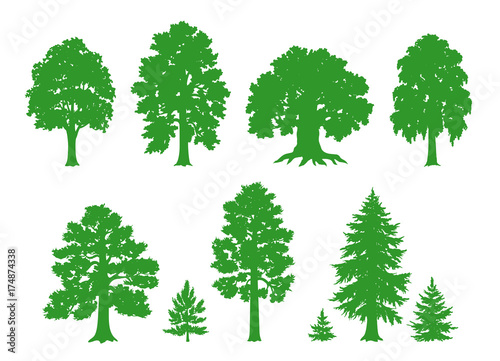 Silhouettes of trees - vector drawing